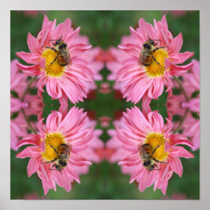 Poster Abelha-Bumble Na Abstrato De Flor-Daisy Rosa