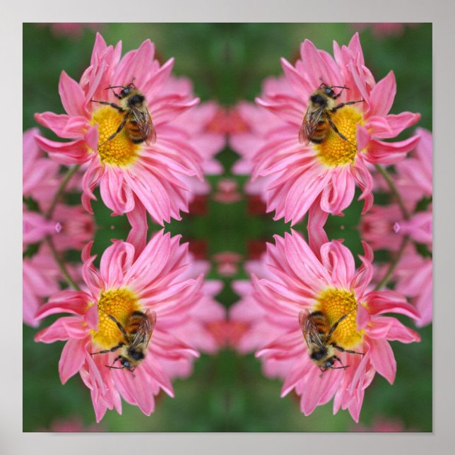 Poster Abelha-Bumble Na Abstrato De Flor-Daisy Rosa (Frente)