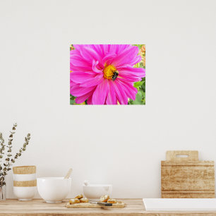 Pôster Abelha em Flor Fotográfica de Dahlia Rosa