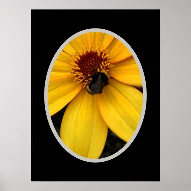 Poster Abelha em uma flor amarela (Frente)