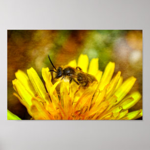 Poster Abelha na flor
