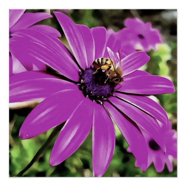 Pôster Abelhas De Mel Numa Arte Daisy Africana Roxa (Frente)