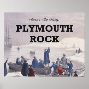 Poster ABH Plymouth Rock