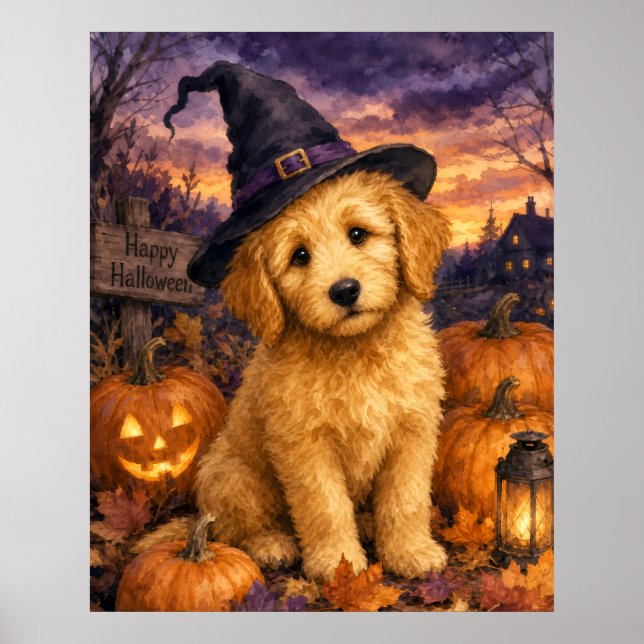 Poster Abóbora de Chapéu de Bruxa Goldendoodle (Frente)