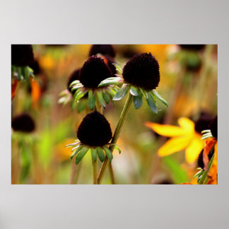 Poster Abordagens do outono