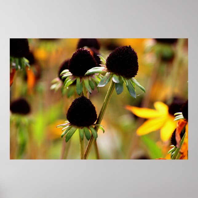 Poster Abordagens do outono (Frente)