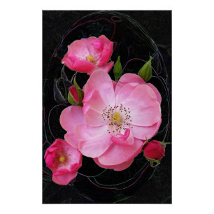 Pôster abre-se uma pequena almofada