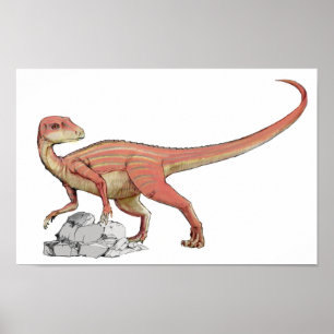 Poster Abrictosaurus - carteira jurássico do dinossauro