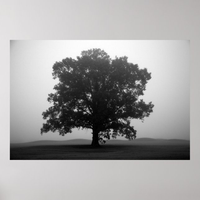 Poster Abrigo (Frente)