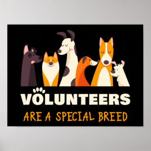 Poster Abrigo de Resgate de Cães Raça Especial de Voluntá