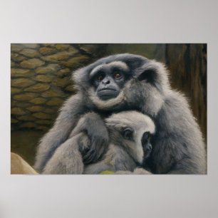 Poster Abrigo Gibbon - Retrato Emocional de Vida Selvagem