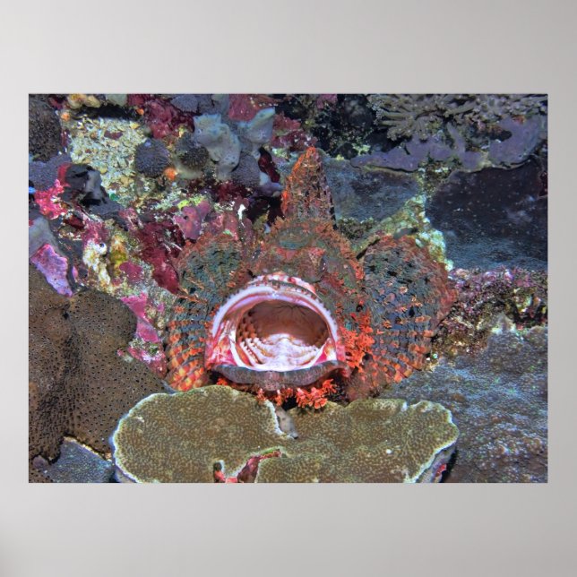 Poster Abrir amplo (Frente)