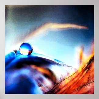 Poster Abstract Water Droplet Vibrant Macro Photography