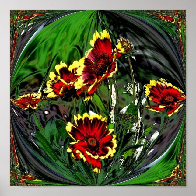 Poster Abstrato Colorful Daisiers Flower (Frente)