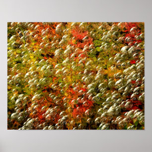 Pôster Abstrato Cores E Bolhas