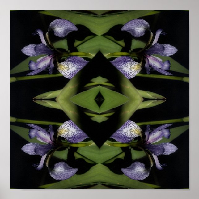 Poster Abstrato da Flor Iris de Sinalizador Azul (Frente)