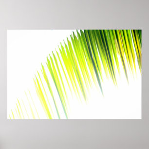 Pôster Abstrato da palma (poster)