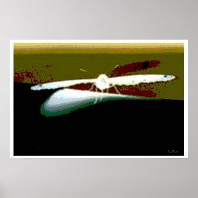 Pôster Abstrato das Asas da Borboleta (Frente)