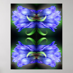 Poster Abstrato de Arte da Flor Gentiana Azul