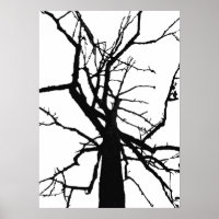 Poster Abstrato de de topo da árvore