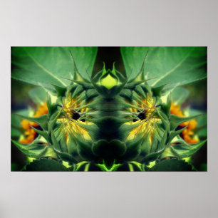 Poster Abstrato de Espelhamento de Girassol