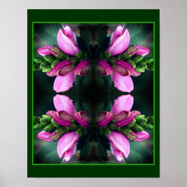 Poster Abstrato de Espelhamento Fecho do Turtlehead Rosa  (Frente)