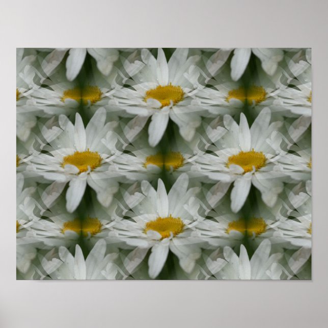 Poster Abstrato de Flores de Rainhas Brancas (Frente)