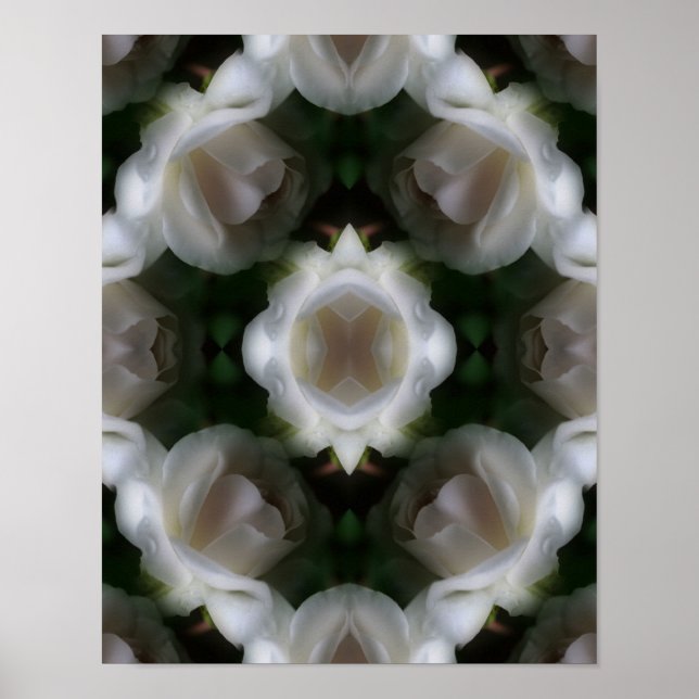 Poster Abstrato de Flores de Rosa Branca (Frente)