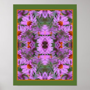 Poster Abstrato de Flores do Aster da Nova Inglaterra ros