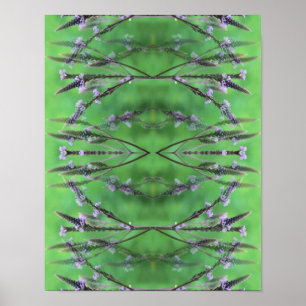 Poster Abstrato de Flores Selvagens Vervain