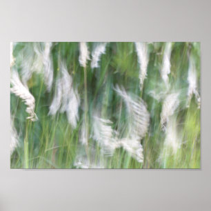 Poster Abstrato de Grama de Movimento Desfocado