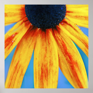 Poster Abstrato de Macro Flor Amarelo Rudbeckia