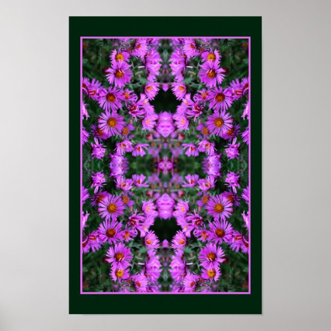 Poster Abstrato de Orton, Flores de Aster de outono Rosa (Frente)