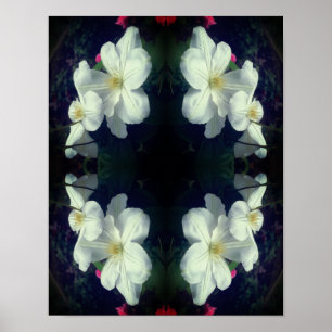 Poster Abstrato de Par de Flor Branco Clematis