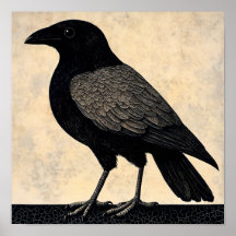 Abstrato de Pássaro Crow