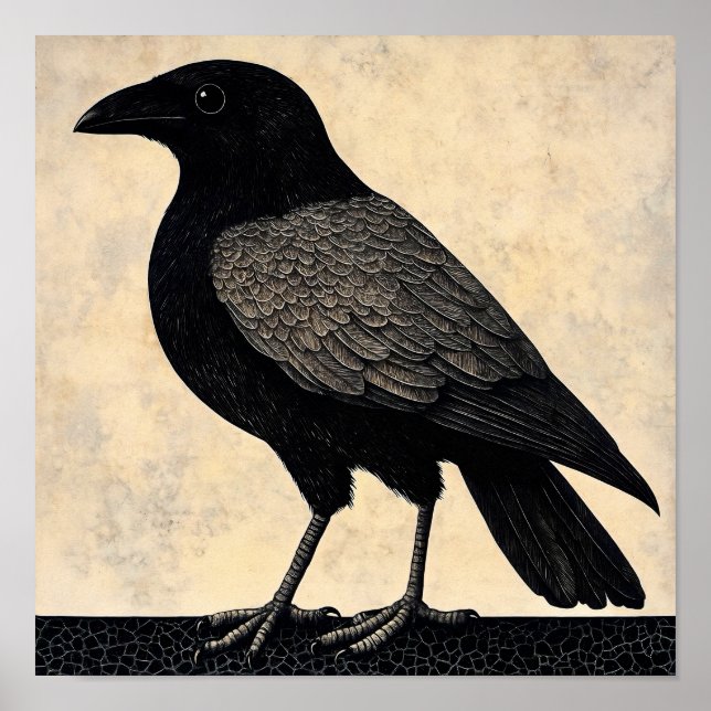 Poster Abstrato de Pássaro Crow (Frente)