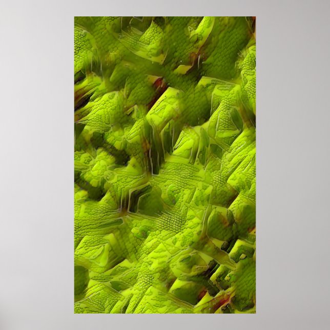 Poster Abstrato de Pele de Lagarto (Frente)