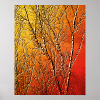 Abstrato de Ramificações de Árvore de Birch Bare