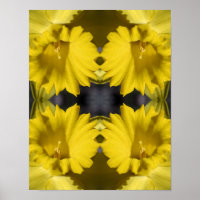 Abstrato do centro Daffodil amarelo