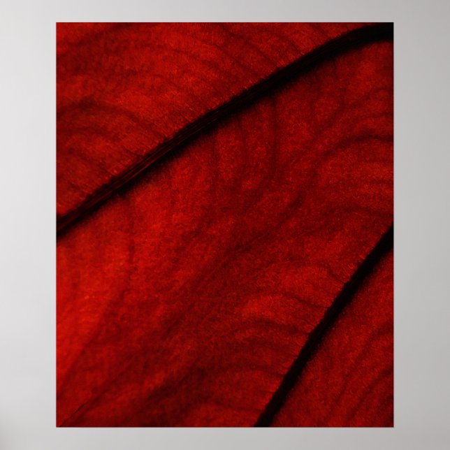 Poster Abstrato do Red e do Black Colateia (Frente)