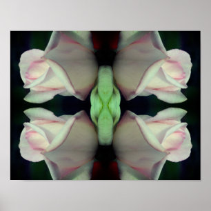 Poster Abstrato do ventilador do Rosebud Rosa