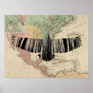 Poster Abstrato Eagle Tree Silhouettes Natureza Arte Anim