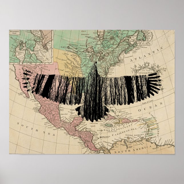 Poster Abstrato Eagle Tree Silhouettes Natureza Arte Anim (Frente)