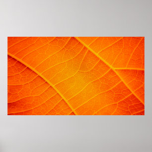 Poster Abstrato fechar um texto em folha laranja e amarel