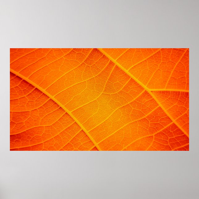 Poster Abstrato fechar um texto em folha laranja e amarel (Frente)
