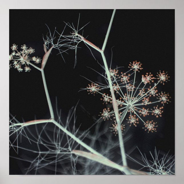 Poster Abstrato Floral Escuro Elegante (Frente)