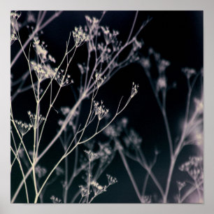 Poster Abstrato Floral Escuro Elegante