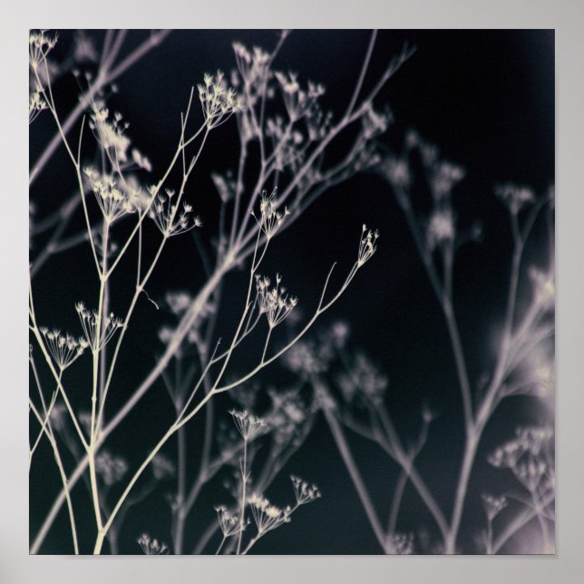 Poster Abstrato Floral Escuro Elegante (Frente)