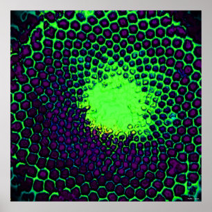 Pôster Abstrato Honeycomb Design verde e roxo