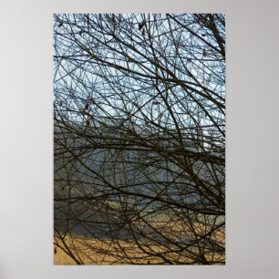 Poster Abstrato Natureza